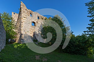 Ruins of Niederhaus Castle under a beautiful blue sky with green trees and plants