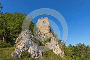 Ruins of Niederhaus Castle under a beautiful blue sky with green trees and plants