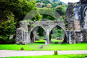 Ruins of the Norman Abbey at Margam Park