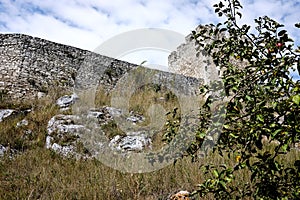 Ruins of old abandoned castle in slovakia