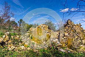 Ruins of old abandoned stone house in Figueiro dos Vinhos, Portugal. photo