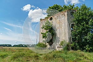 Ruins of an old antique building overgrown with grass and shrubs. Ruins of an old fortress or manor in a field against the