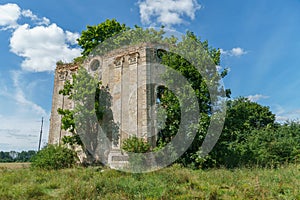 Ruins of an old antique building overgrown with grass and shrubs. Ruins of an old fortress or manor in a field against the