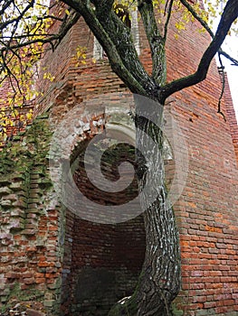 The ruins of the old brick estate of the Wrangel barons