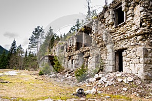 Ruins of old building in forest surrounded with trees