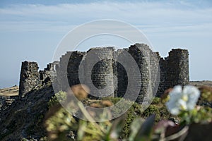 Ruins of an old castle. Entrance door and window of an old castle. Fortress towers and walls