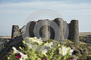 Ruins of an old castle. Entrance door and window of an old castle. Fortress towers and walls
