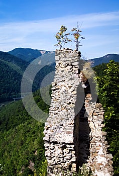 Ruiny starého hradu v lese. Slovensko