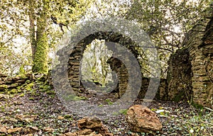 Ruins of an old chapel in the woods