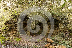 Ruins of an old chapel in the woods