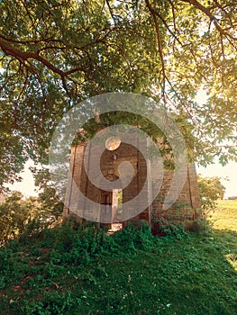 Ruins of an old church under green trees