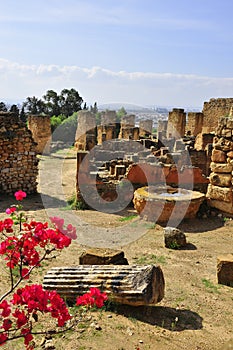 Ruins of the old city of Carthage, Tunisia