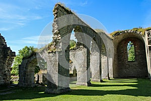 The ruins of the old cloister in Alvastra photo