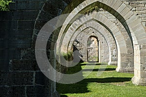 The ruins of the old cloister in Alvastra photo