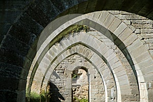 The ruins of the old cloister in Alvastra in Sweden