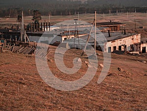 Ruins of old destroyed white factory building in field, steppe with dry yellow, red grass, electric poles, forest behind. Olkhon