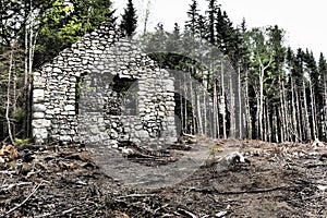 Ruins of an old and forgotten lodge in a field captured during the daytime