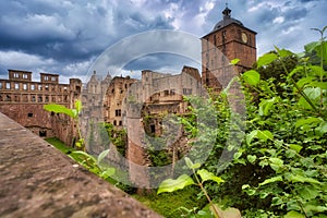 Ruins of an old historic Heidelberg castle amid dense greenery on a gloomy day in Germany