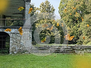 Ruins of an old house in autumn forest green yellow leaves fall on field grass nature landscape