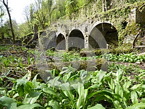 Ruins of old iron works