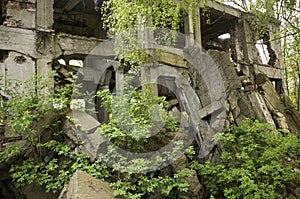 Ruins of an old military bunker