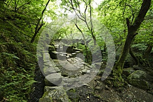 Ruins of an old mill in the natural park