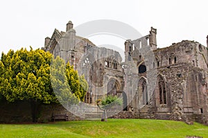 Ruins of an old monastery