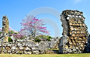 Ruins of Old Panama