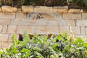 The ruins of an old stone building with a stylized figure of a lion carved in stone on a quiet street in the old part of Safed