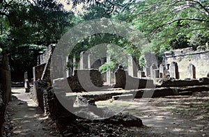 Ruins Palace, Gedi, Gede, Malindi, Kenya