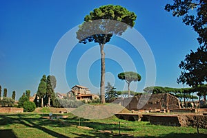 Ruins at the Palatine Hill in Rome, Italy