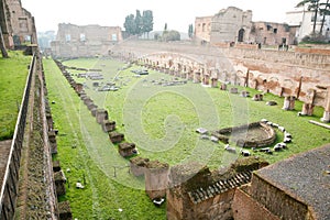 Ruins of the Palatine stadium in Rome