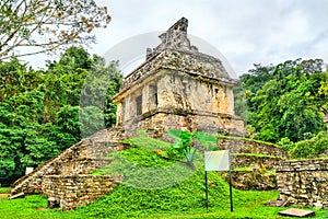 Ruins of Palenque in Chiapas, Mexico