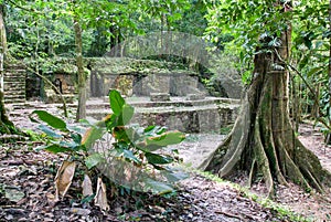 Ruins of Palenque, Maya city in Chiapas