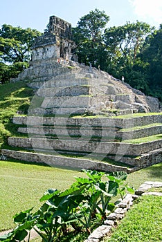 Ruins of Palenque, Maya city in Chiapas