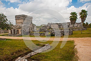 Ruins and palm trees in the archaeological area. Tulum, Mexico, Yucatan, Riviera Maya