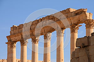 Ruins of palmyra