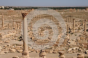 Ruins of palmyra