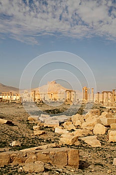 Ruins of Palmyra and Qala'At Ibn Maan Castle