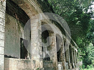 Ruins of Paricatuba, vegetation vs centenarian building