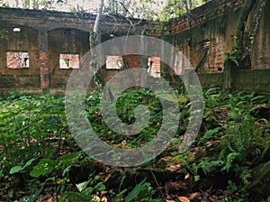 Ruins of Paricatuba, vegetation vs centenarian building