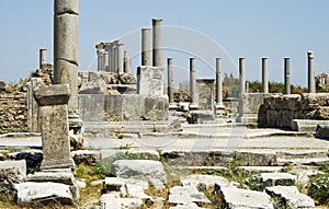 Ruins in Perga