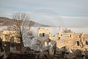Ruins of Povazsky hrad castle in Slovakia with tree snd hill on the background