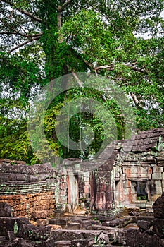 Ruins of Pra Khan Temple in Angkor Thom of Cambodia