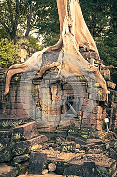 Ruins of Pra Khan Temple in Angkor Thom of Cambodia