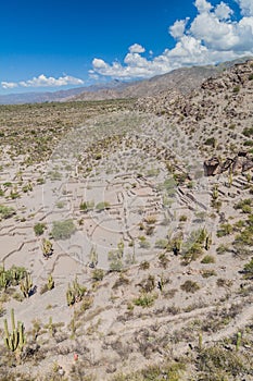 Ruins of pre-Inca city Quilmes