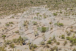 Ruins of pre-Inca city Quilmes