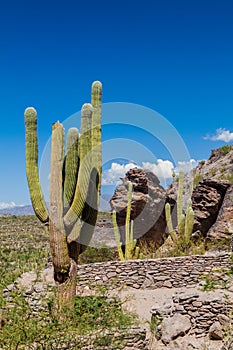 Ruins of pre-Inca city Quilmes