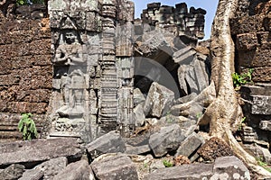 Ruins of Preah Khan Temple, Angkor