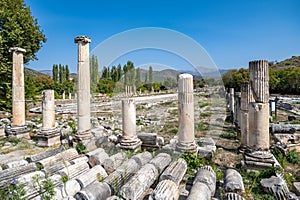 Ruins of Public Pool in Aphrodisias Ancient City, Turkey